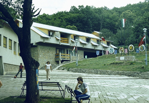 1970 - 1979