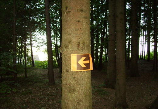 PICT0208
