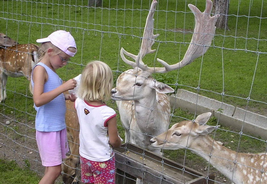 tscheppaschlucht 180