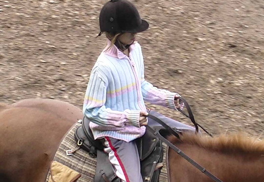 Reiten 23